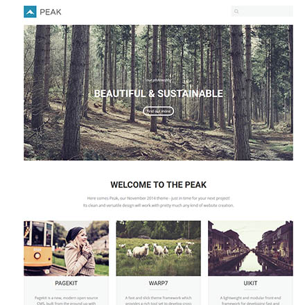 YOOtheme Peak