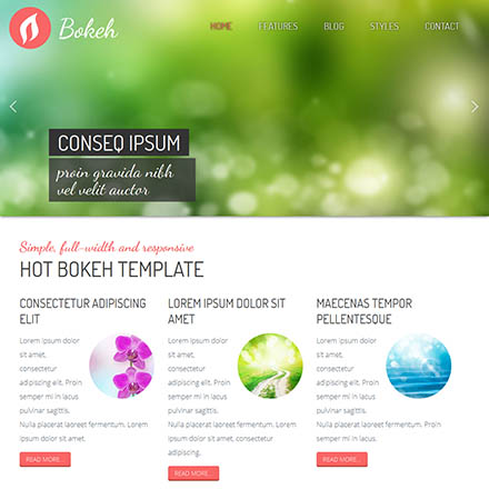 HotThemes Bokeh