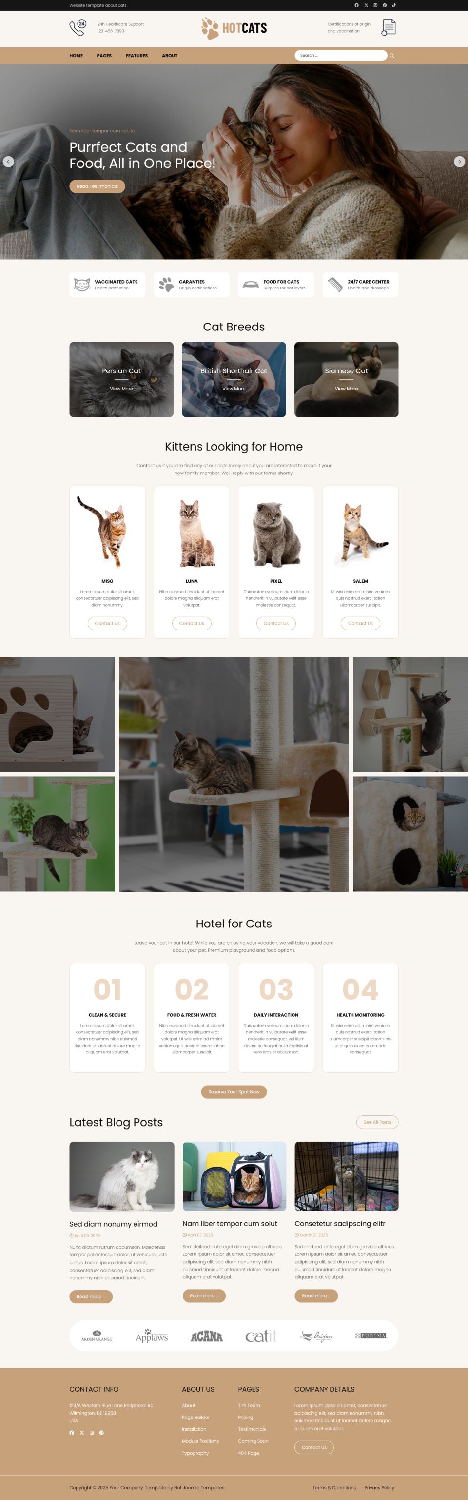 Template HotThemes Cats Joomla template HotThemes Cats
