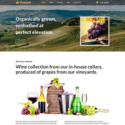 HotThemes Vineyard