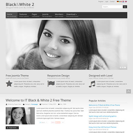 IceTheme Black & White 2