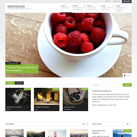 JoomlaBamboo Newstream2