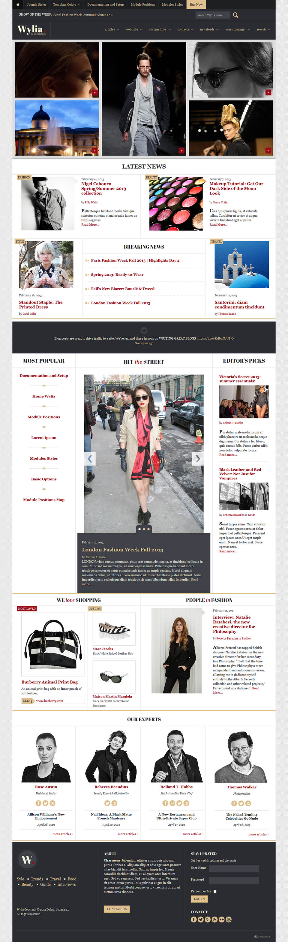 Template JoomlaShack Wylia Joomla template JoomlaShack Wylia