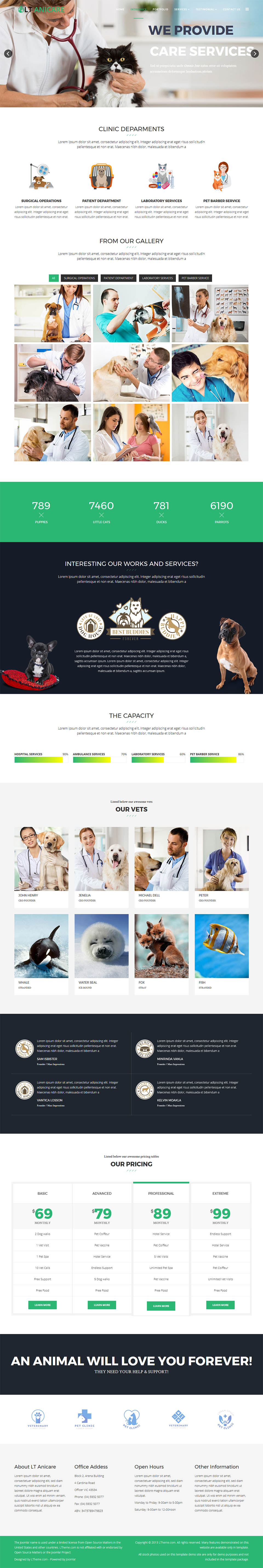 Joomla template LTheme Anicare Onepage
