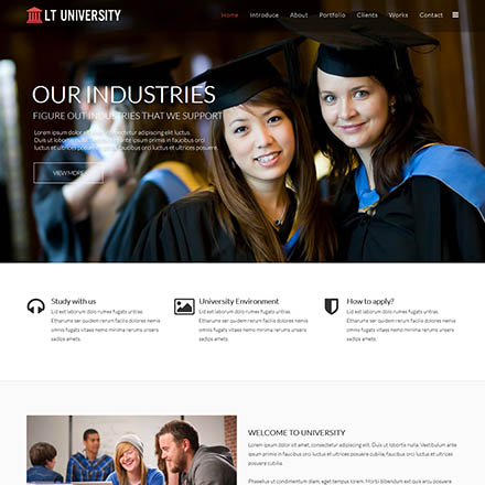 LTheme University Onepage