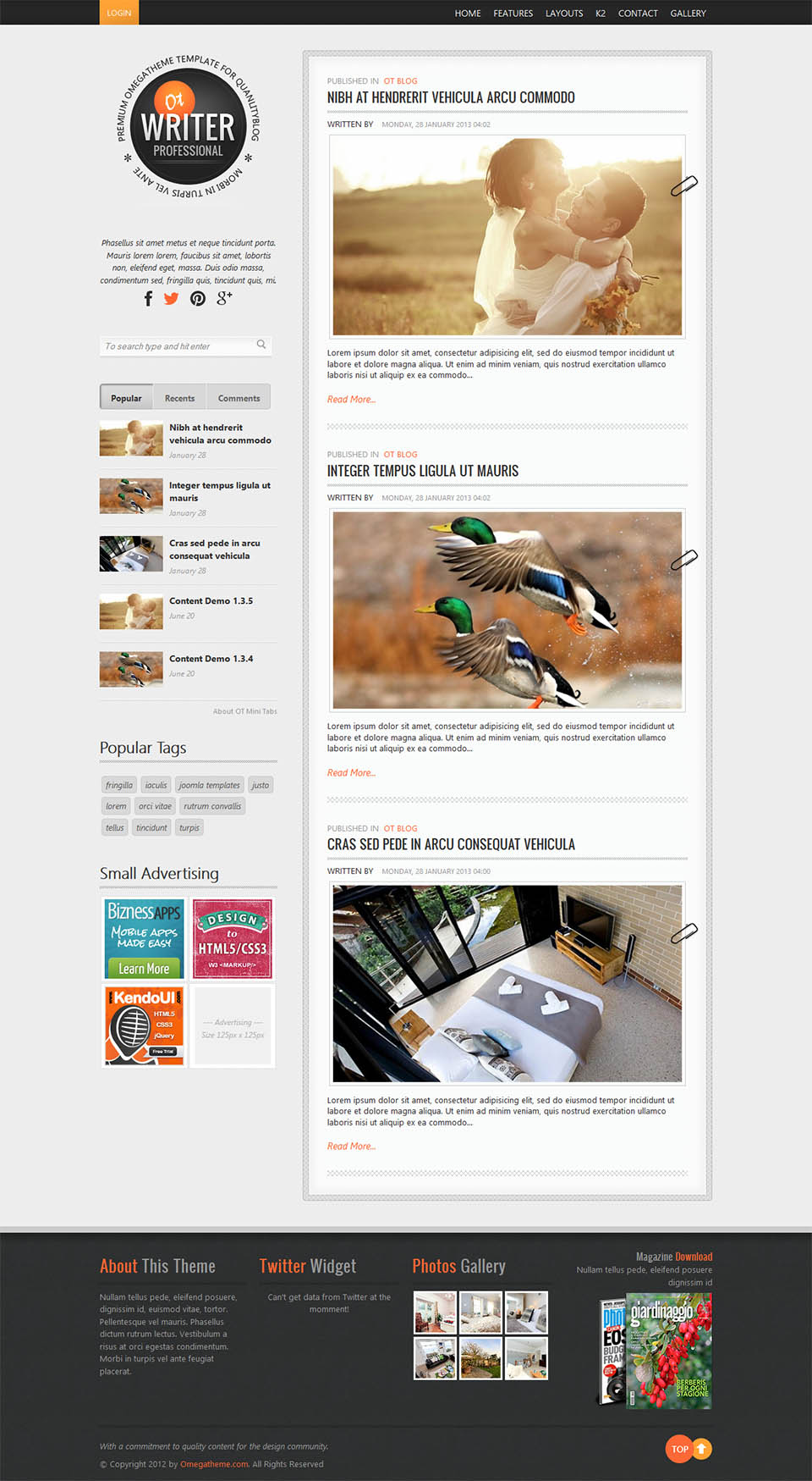 Template OmegaTheme Writer Joomla template OmegaTheme Writer