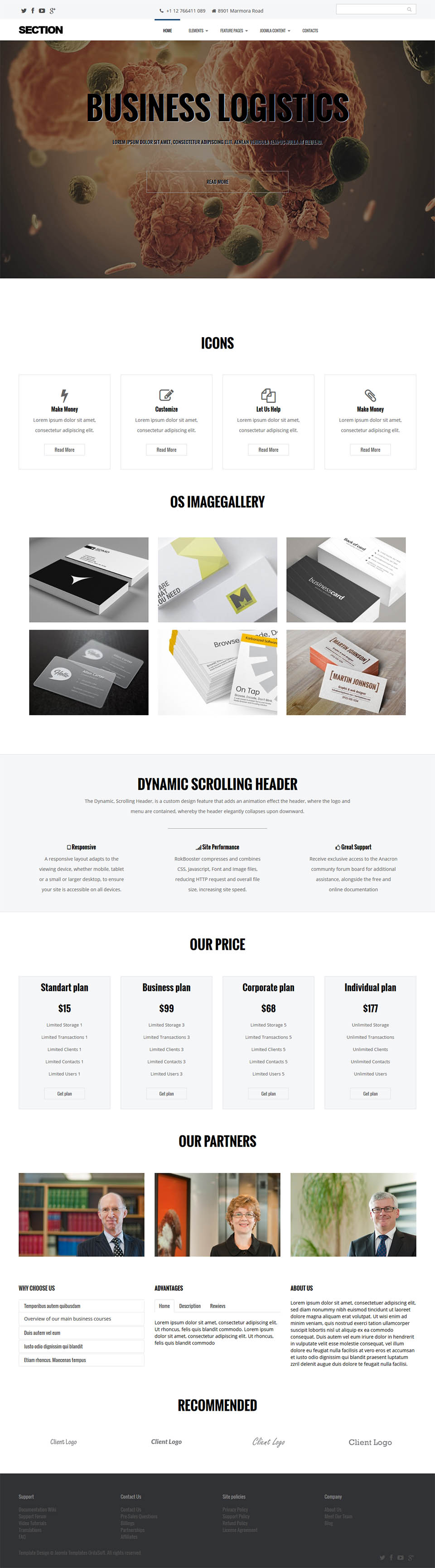 Joomla template OrdaSoft Section