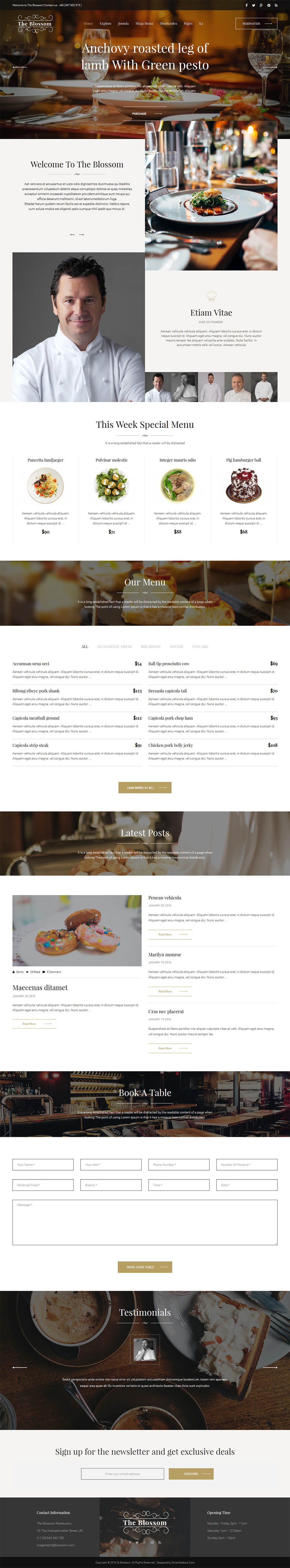 Template SmartAddons Blossom Joomla template SmartAddons Blossom