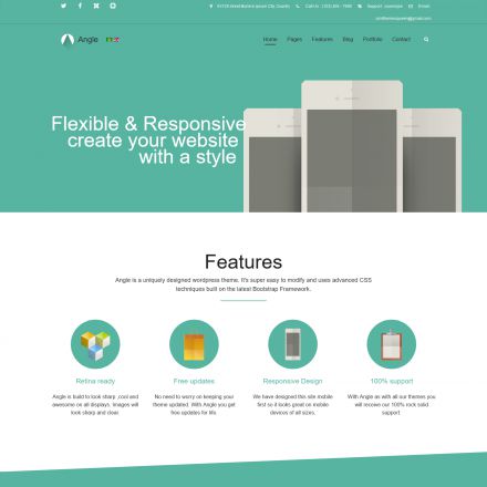 ThemeForest Angle