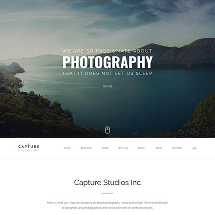 ThemeForest Capture