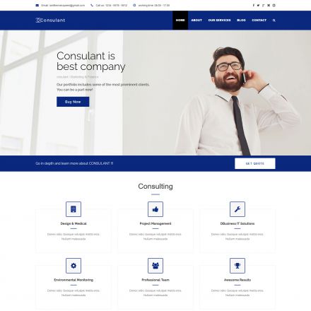 ThemeForest Consulant