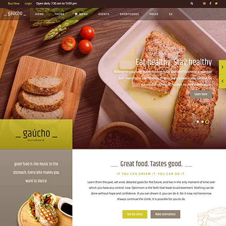 ThemeForest Gaucho