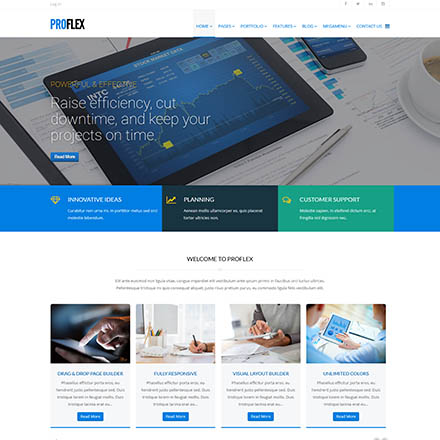 ThemeForest ProFlex