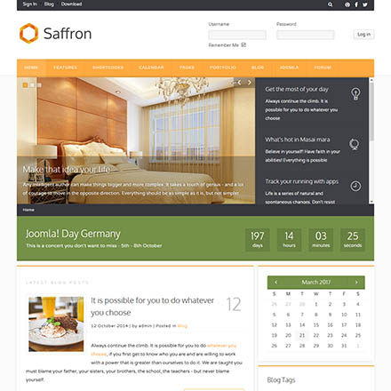 ThemeForest Saffron