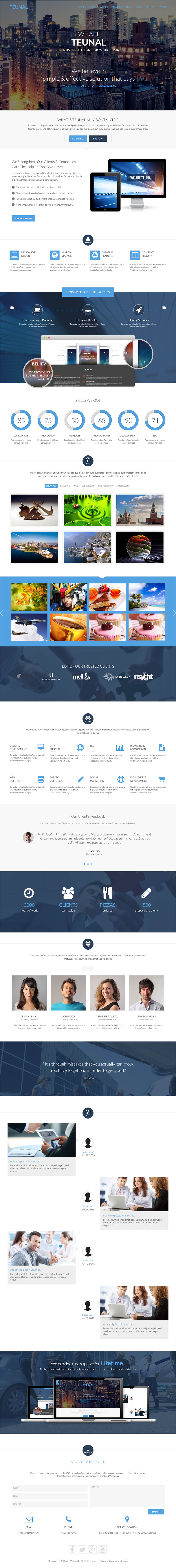 Template ThemeForest Teunal Joomla template ThemeForest Teunal