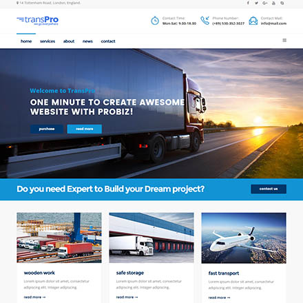 ThemeForest TransPro