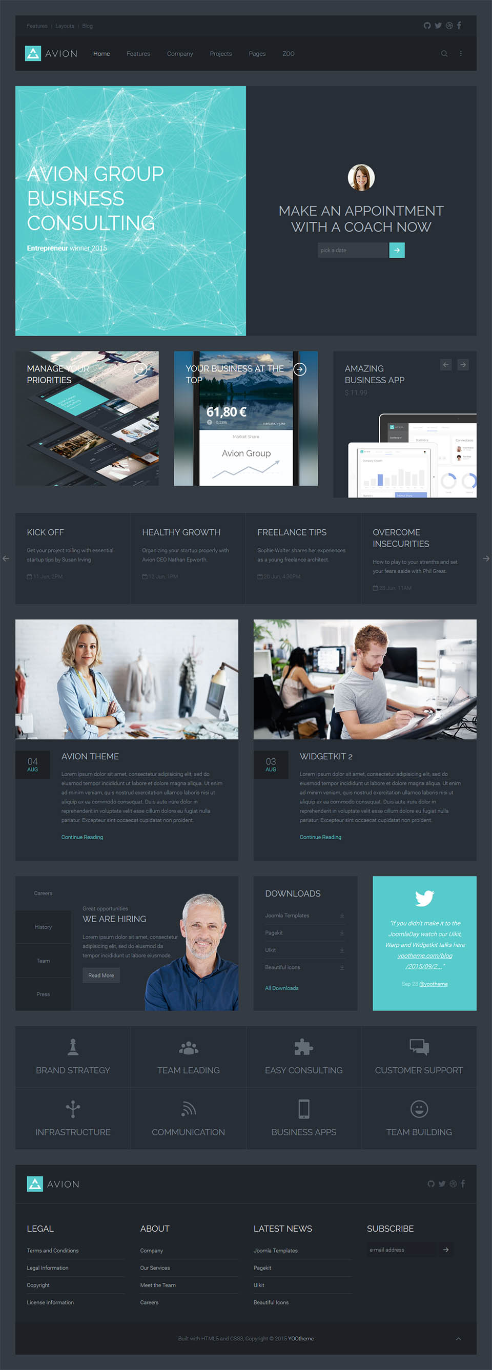 Template YOOtheme Avion Joomla template YOOtheme Avion