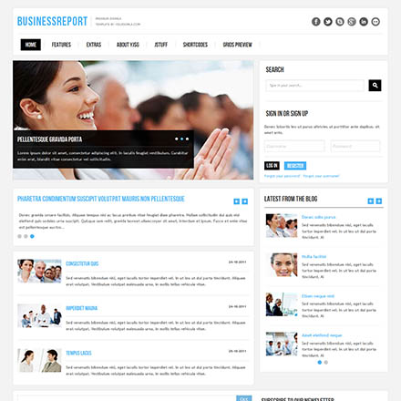 YouJoomla BusinessReport